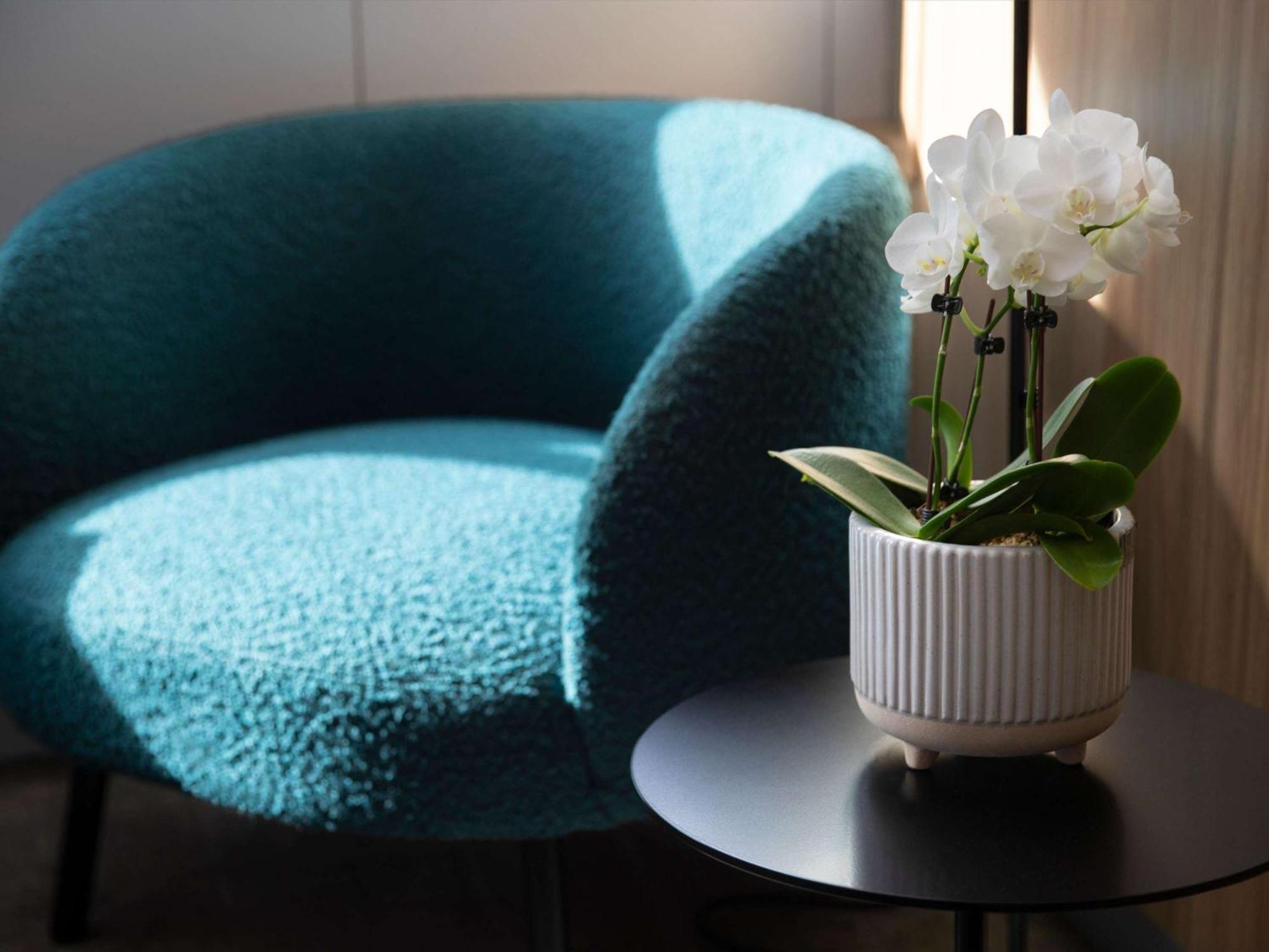 Novotel Sydney City Centre Екстер'єр фото